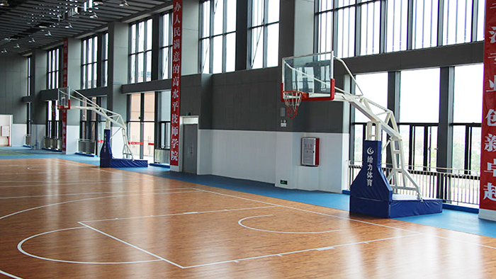 中山籃球架廠家